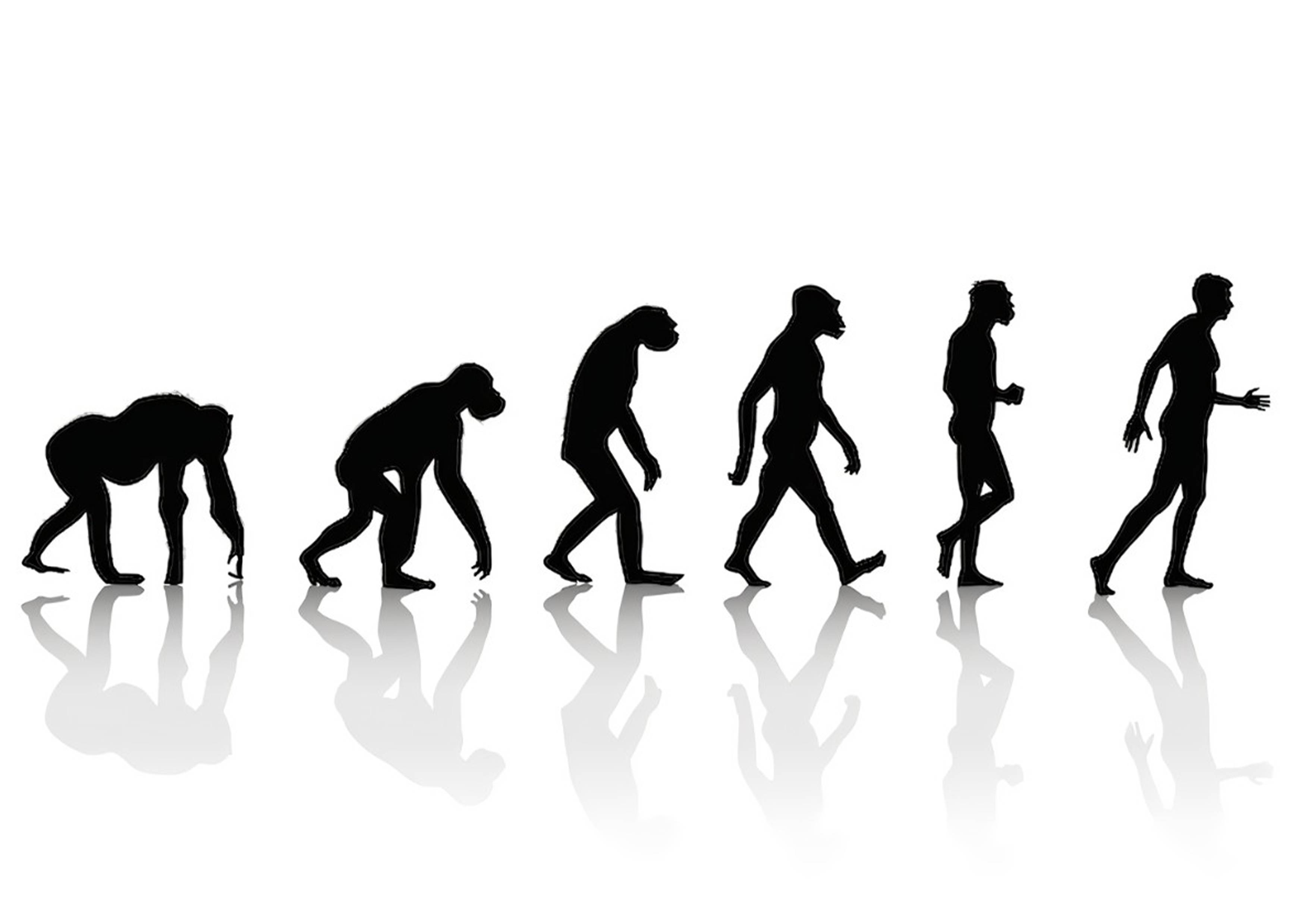 آفرینش انسان و فرضیه تکامل - بخش اول