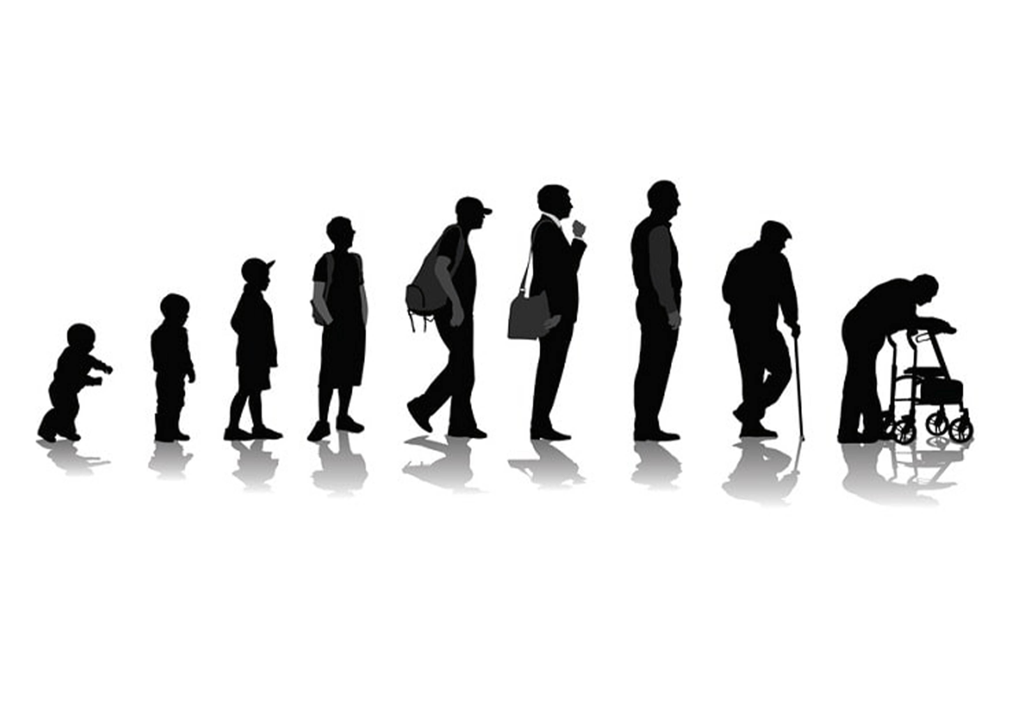 نظریه های روان شناسی رشد